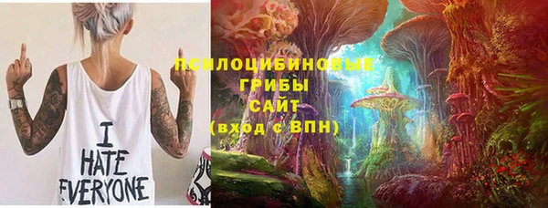 шишки Куйбышев